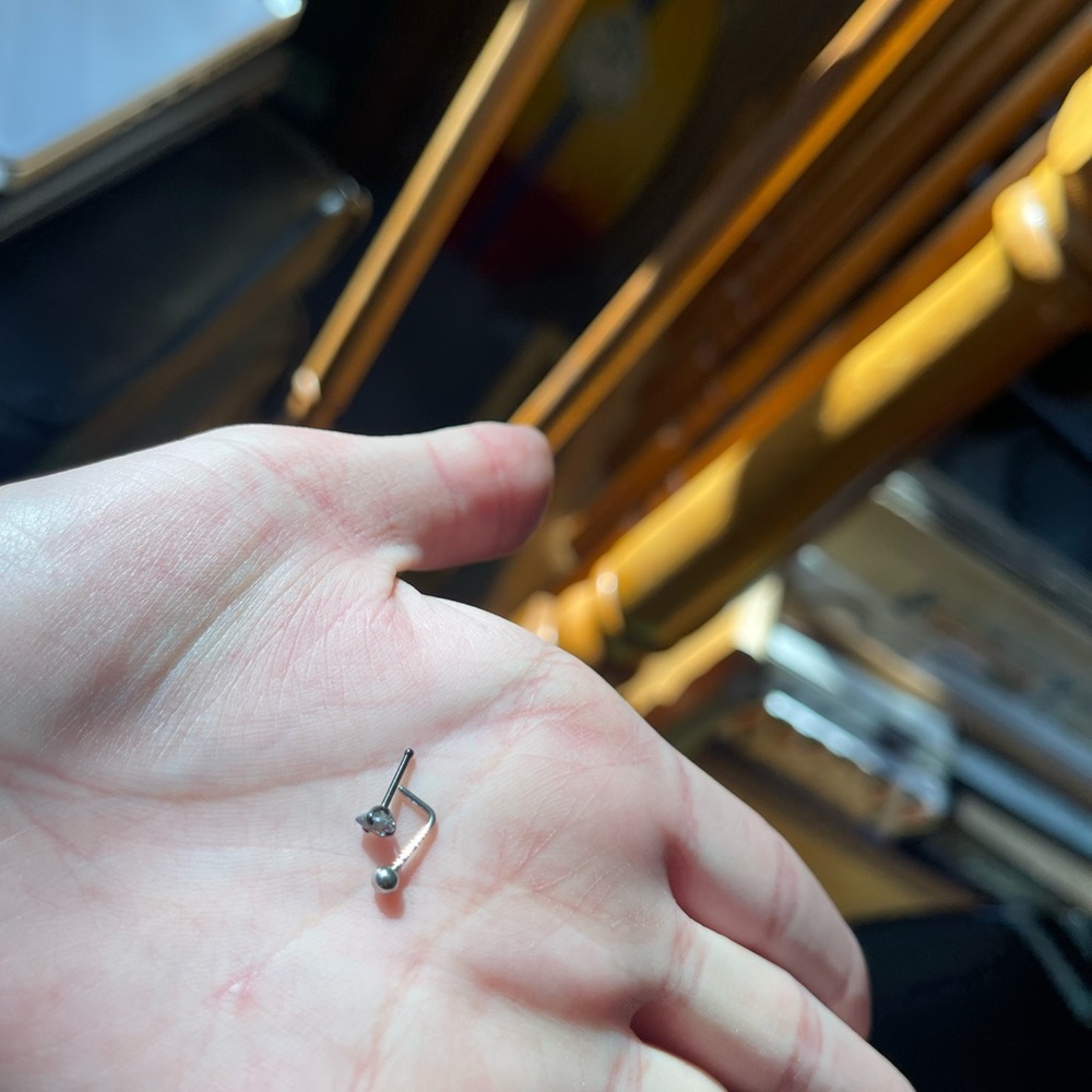 4 Nose Rings - Picture 10 of 12